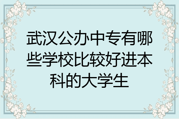 武汉公办中专有哪些学校比较好进本科的大学生