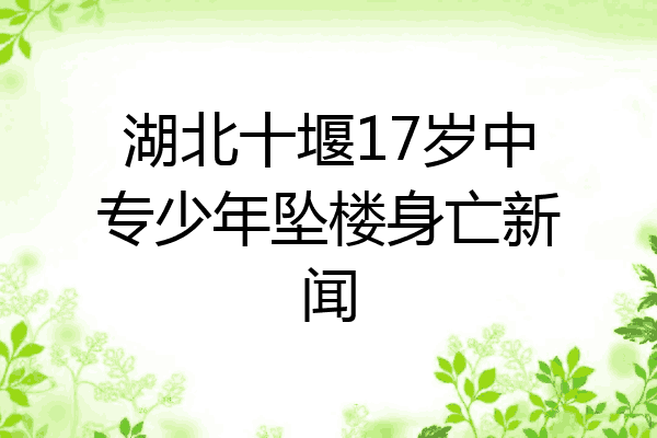 湖北十堰17岁中专少年坠楼身亡新闻
