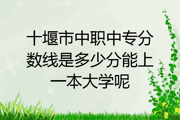 十堰市中职中专分数线是多少分能上一本大学呢