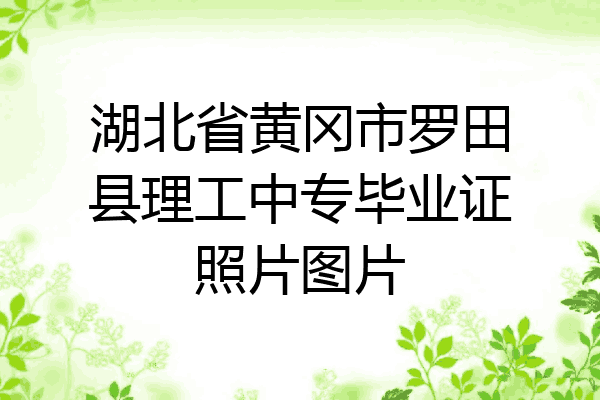湖北省黄冈市罗田县理工中专毕业证照片图片