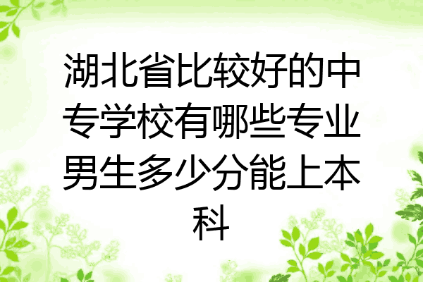 湖北省比较好的中专学校有哪些专业男生多少分能上本科