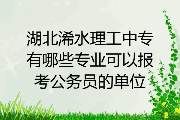 湖北浠水理工中专有哪些专业可以报考公务员的单位
