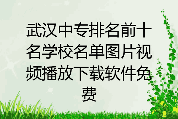 武汉中专排名前十名学校名单图片视频播放下载软件免费