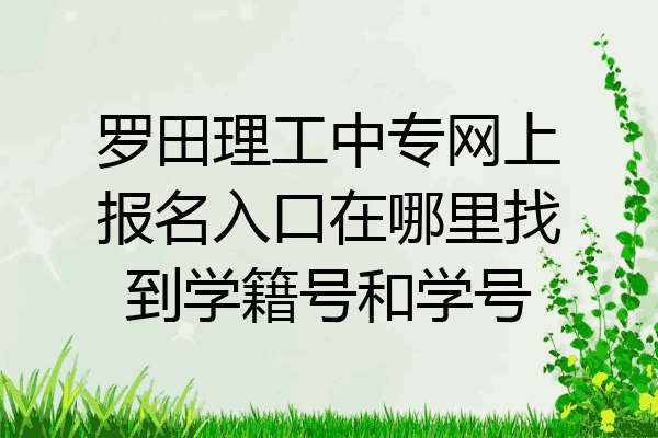 罗田理工中专网上报名入口在哪里找到学籍号和学号