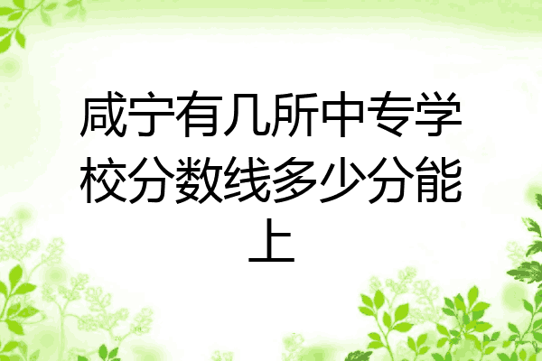咸宁有几所中专学校分数线多少分能上