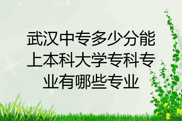 武汉中专多少分能上本科大学专科专业有哪些专业