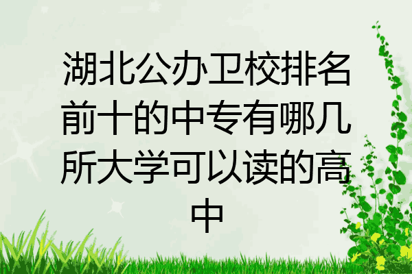 湖北公办卫校排名前十的中专有哪几所大学可以读的高中