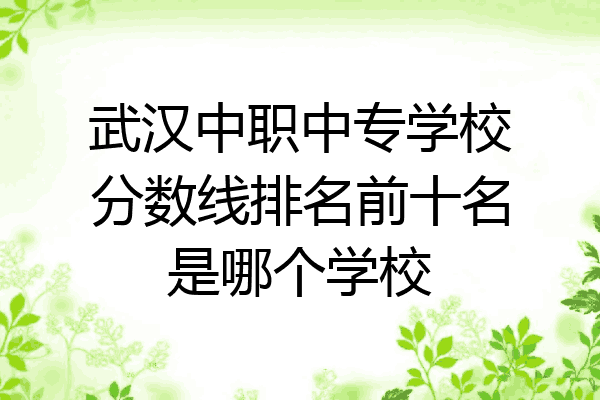 武汉中职中专学校分数线排名前十名是哪个学校
