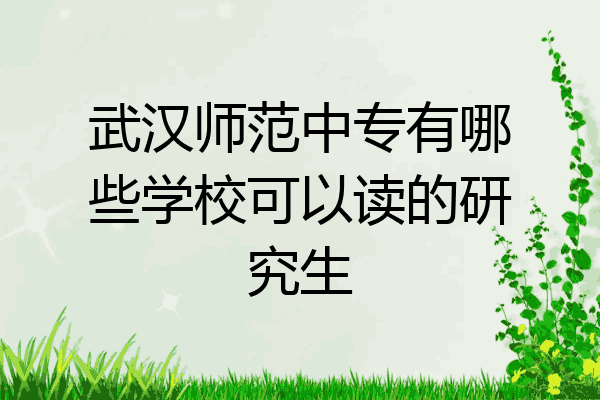 武汉师范中专有哪些学校可以读的研究生