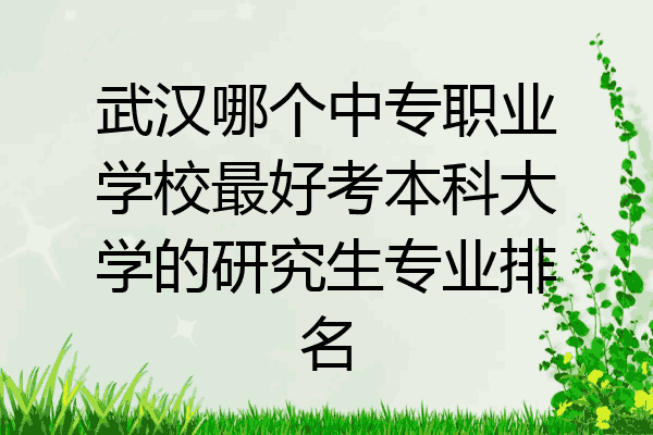 武汉哪个中专职业学校最好考本科大学的研究生专业排名