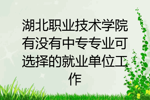 湖北职业技术学院有没有中专专业可选择的就业单位工作