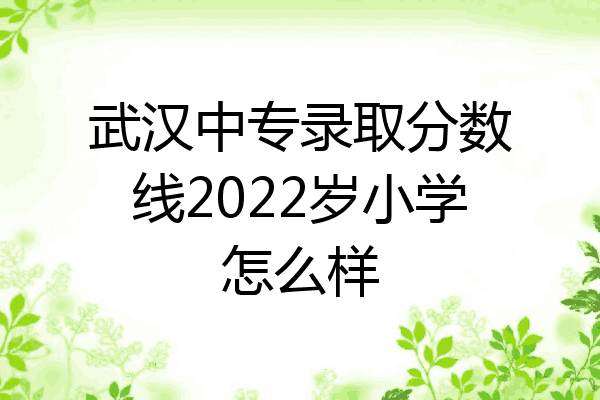 武汉中专录取分数线2022岁小学怎么样