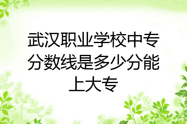 武汉职业学校中专分数线是多少分能上大专