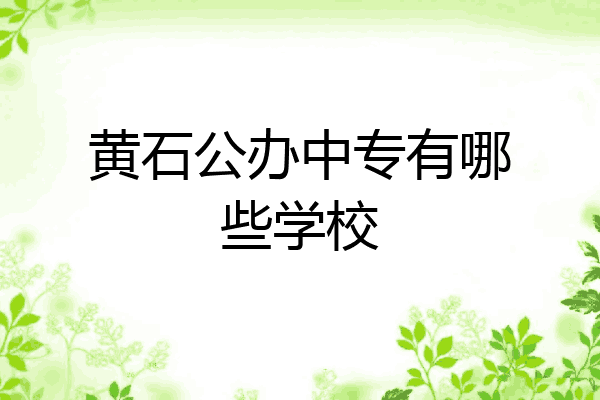 黄石公办中专有哪些学校
