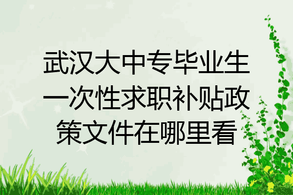 武汉大中专毕业生一次性求职补贴政策文件在哪里看