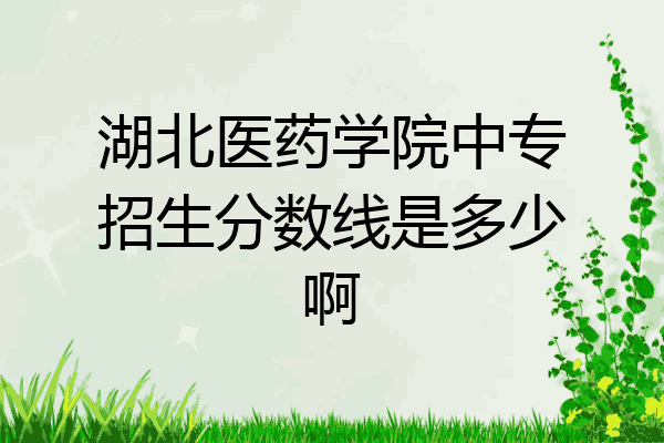 湖北医药学院中专招生分数线是多少啊