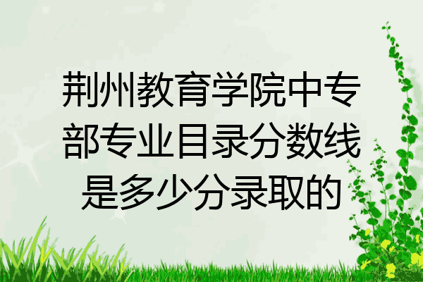 荆州教育学院中专部专业目录分数线是多少分录取的