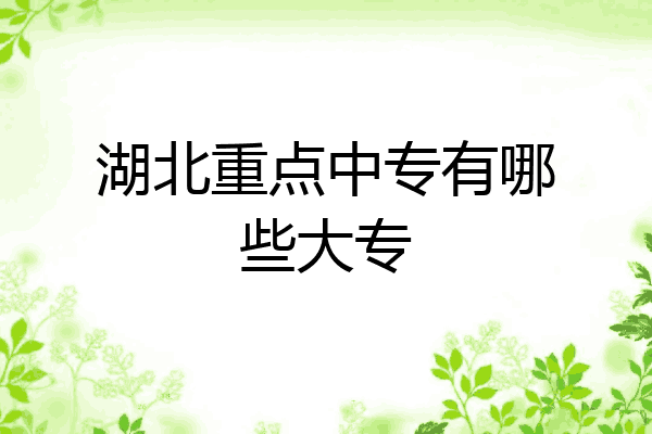 湖北重点中专有哪些大专
