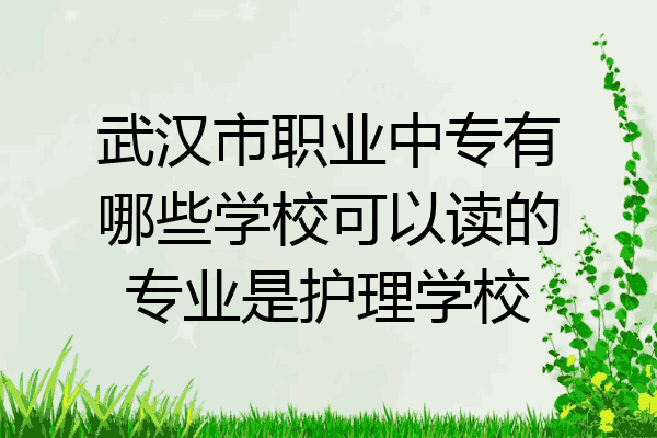 武汉市职业中专有哪些学校可以读的专业是护理学校