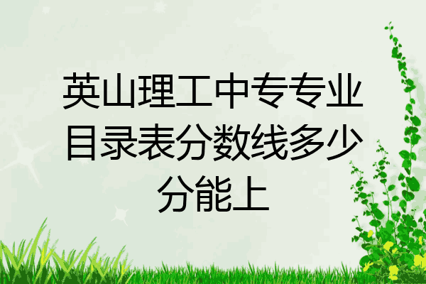英山理工中专专业目录表分数线多少分能上