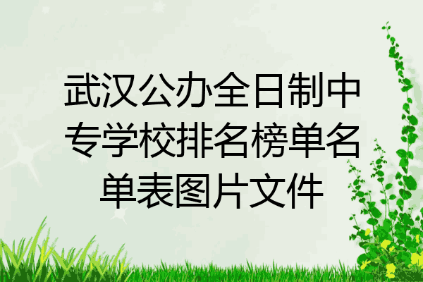 武汉公办全日制中专学校排名榜单名单表图片文件