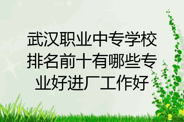 武汉职业中专学校排名前十有哪些专业好进厂工作好