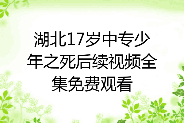 湖北17岁中专少年之死后续视频全集免费观看