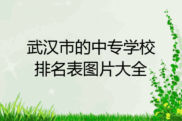 武汉市的中专学校排名表图片大全