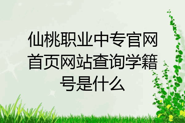 仙桃职业中专官网首页网站查询学籍号是什么