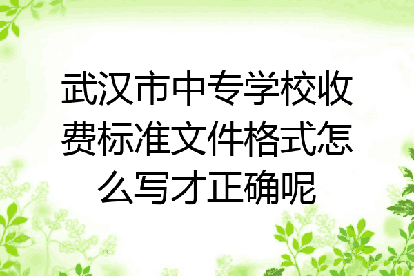 武汉市中专学校收费标准文件格式怎么写才正确呢