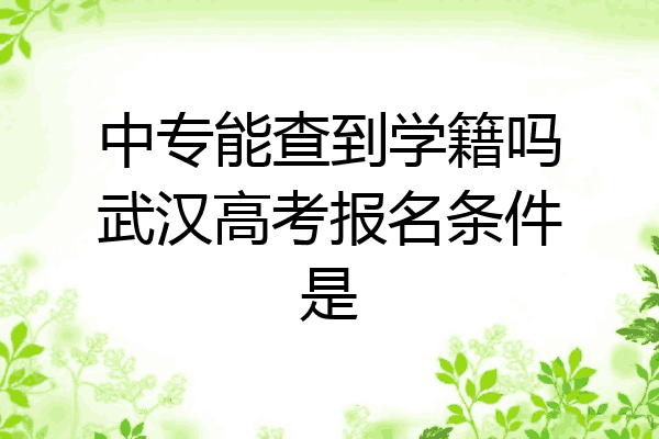 中专能查到学籍吗武汉高考报名条件是