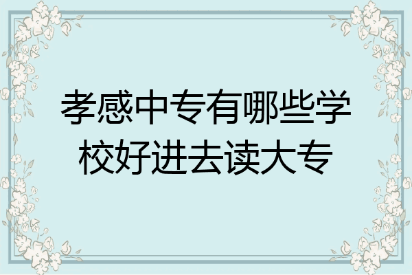 孝感中专有哪些学校好进去读大专