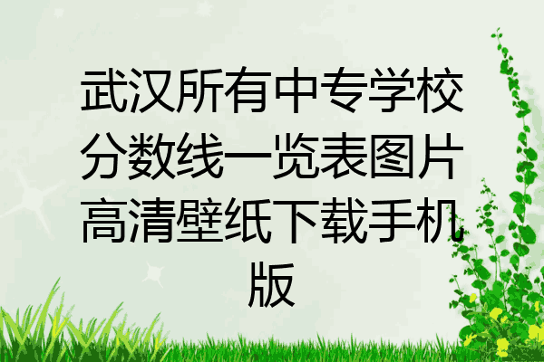 武汉所有中专学校分数线一览表图片高清壁纸下载手机版