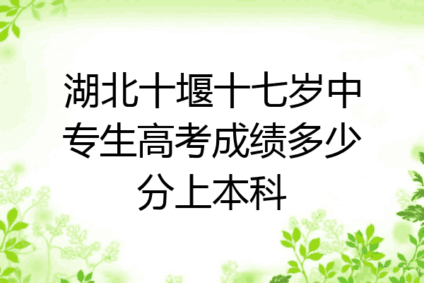 湖北十堰十七岁中专生高考成绩多少分上本科