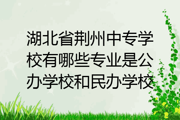 湖北省荆州中专学校有哪些专业是公办学校和民办学校