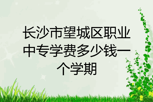 长沙市望城区职业中专学费多少钱一个学期