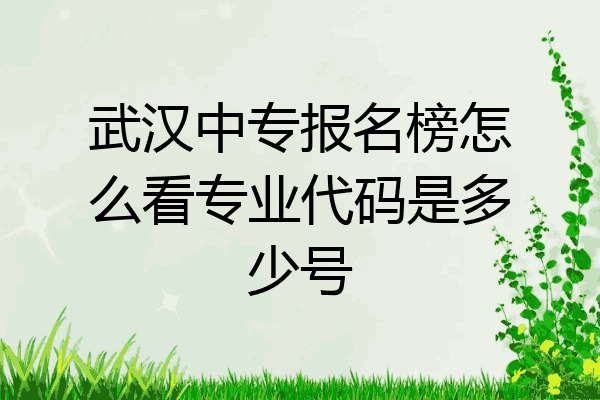 武汉中专报名榜怎么看专业代码是多少号
