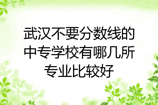 武汉不要分数线的中专学校有哪几所专业比较好