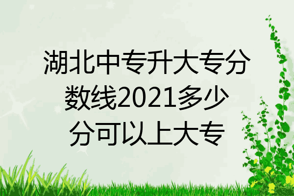 湖北中专升大专分数线2021多少分可以上大专