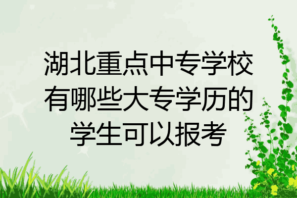 湖北重点中专学校有哪些大专学历的学生可以报考