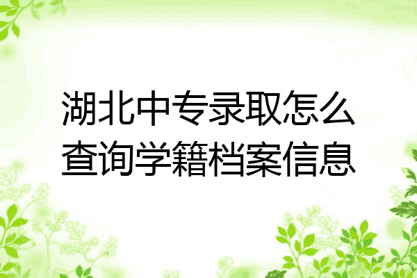 湖北中专录取怎么查询学籍档案信息