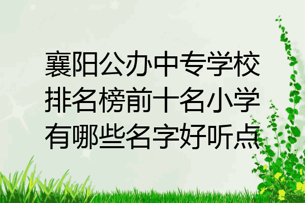 襄阳公办中专学校排名榜前十名小学有哪些名字好听点