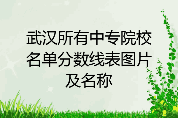 武汉所有中专院校名单分数线表图片及名称