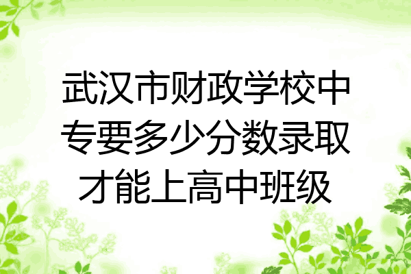 武汉市财政学校中专要多少分数录取才能上高中班级