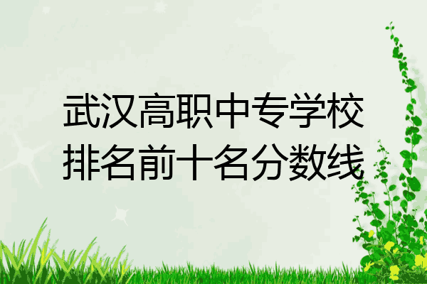 武汉高职中专学校排名前十名分数线