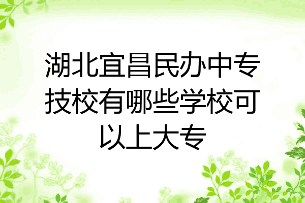 湖北宜昌民办中专技校有哪些学校可以上大专