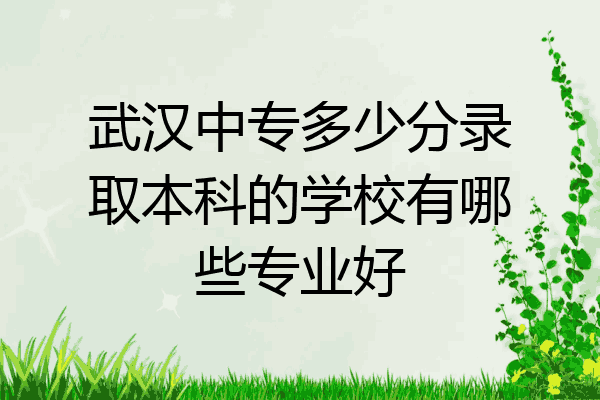 武汉中专多少分录取本科的学校有哪些专业好