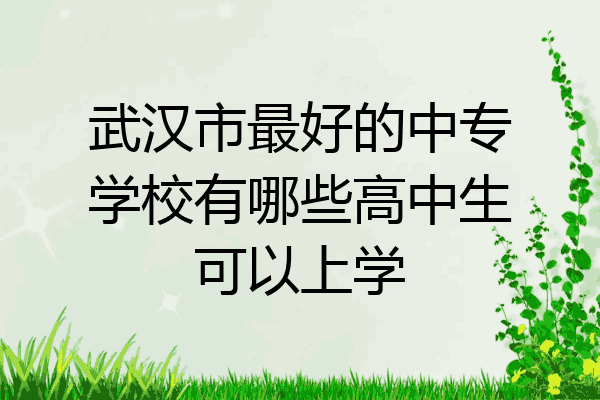 武汉市最好的中专学校有哪些高中生可以上学