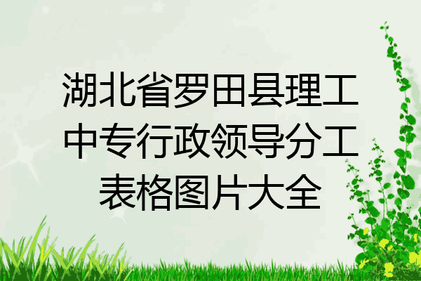 湖北省罗田县理工中专行政领导分工表格图片大全