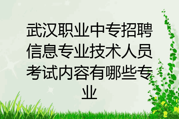 武汉职业中专招聘信息专业技术人员考试内容有哪些专业